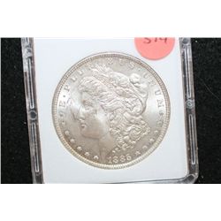 1885 Silver Morgan $1, MCPCG Graded MS63