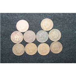 Indian Head Penny, Various Dates & Conditions, Lot of 10
