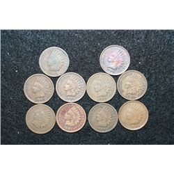 Indian Head Penny, Various Dates & Conditions, Lot of 10