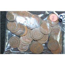 Indian Head Penny, Various Dates & Conditions, Lot of 50