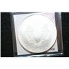 Image 2 : 2010 Silver Eagle $1