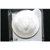 Image 2 : 2010 Silver Eagle $1