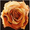 Lowell Blair Nesbitt, Yellow Rose, Oil Painting
