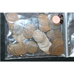 Indian Head Penny, Various Dates & Conditions, Lot of 50