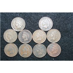 Indian Head Penny, Various Dates & Conditions, Lot of 10