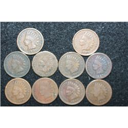Indian Head Penny, Various Dates & Conditions, Lot of 10