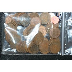 Indian Head Penny, Various Dates & Conditions, Lot of 50