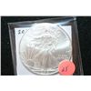 Image 1 : 2010 Silver Eagle $1