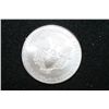 Image 2 : 2010 Silver Eagle $1