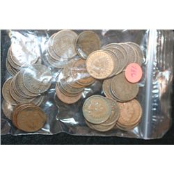 Indian Head Penny, Various Dates & Conditions, Lot of 50