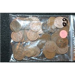 Indian Head Penny, Various Dates & Conditions, Lot of 50