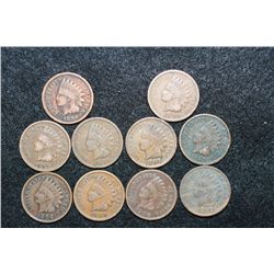 Indian Head Penny, Various Dates & Conditions, Lot of 10