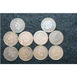 Indian Head Penny, Various Dates & Conditions, Lot of 10