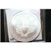 Image 2 : 2010 Silver Eagle $1