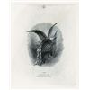 Image 1 : Dramatic Patriotic Eagle Proof Vignette by ABNC.