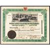 Image 1 : Demas Armor-Cased Tire Saving Co. Issued Stock.