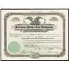 Image 1 : Paragon Motor Car Co. Issued Stock.