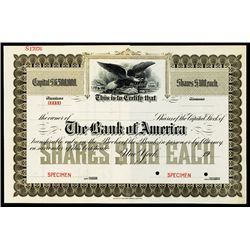 Bank of America Specimen Stock.