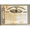 Image 1 : American Express Co. Issued Stock.