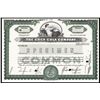 Image 1 : Coca-Cola Co. Specimen Stock.