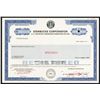 Image 1 : Starbucks Corp. Specimen Bond.