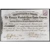 Image 1 : Hornsey Freehold Estate Tontine Co. Ltd. Issued Stock.