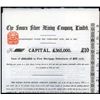 Image 1 : Sonora Silver Mining Co. Issued Bond.