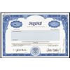 Image 1 : PayPal, Inc. Specimen Stock - Pre-Ebay.