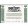 Image 1 : Boston Celtics Limited Partnership Specimen Stock.