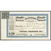 Image 1 : Mutual Telephone Co., 1907 Issued Stock Certificate with 2 Hawaiian Revenue Stamps.