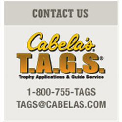 70% DISCOUNT ON CABELA’S T.A.G.S PERMIT APPLICATION SERVICE FOR THREE YEARS