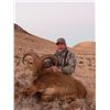 Image 2 : 5 DAY FREE RANGING AOUDAD SHEEP HUNT IN WEST TEXAS FOR 1 HUNTER AND 1 NON-HUNTER