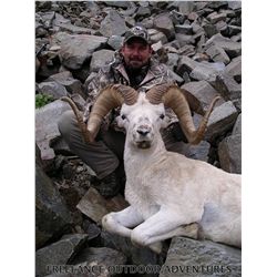 ALASKA TOK MANAGEMENT AREA DALL SHEEP HARVEST PERMIT (SS 102)