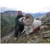 Image 6 : ALASKA TOK MANAGEMENT AREA DALL SHEEP HARVEST PERMIT (SS 102)