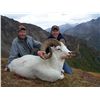Image 8 : ALASKA TOK MANAGEMENT AREA DALL SHEEP HARVEST PERMIT (SS 102)
