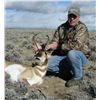 Image 2 : 3 DAY WYOMING ANTELOPE HUNT FOR 1 HUNTER AND SHOULDER MOUNT TAXIDERMY