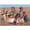 Image 4 : 3 DAY WYOMING ANTELOPE HUNT FOR 1 HUNTER AND SHOULDER MOUNT TAXIDERMY