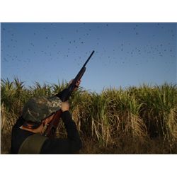4 DAY DOVE SHOOT FOR 5 HUNTERS IN ARGENTINA