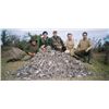 Image 4 : 4 DAY DOVE SHOOT FOR 5 HUNTERS IN ARGENTINA
