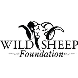 WILD SHEEP FOUNDATION LIFE MEMBERSHIP