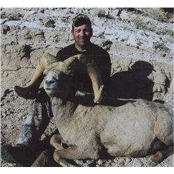 CALIFORNIA DESERT BIGHORN TWO ZONE SHEEP PERMIT - MARBLE-CLIPPLER/SOUTH BRISTOL