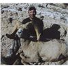 Image 1 : CALIFORNIA DESERT BIGHORN TWO ZONE SHEEP PERMIT - MARBLE-CLIPPLER/SOUTH BRISTOL