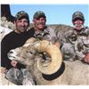 Image 2 : CALIFORNIA DESERT BIGHORN TWO ZONE SHEEP PERMIT - MARBLE-CLIPPLER/SOUTH BRISTOL