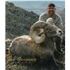 Image 3 : CALIFORNIA DESERT BIGHORN TWO ZONE SHEEP PERMIT - MARBLE-CLIPPLER/SOUTH BRISTOL