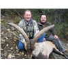 Image 2 : 4 DAYS FOR 1 HUNTER IN SPAIN INCLUDES RONDA IBEX TROPHY FEE AND TAXIDERMY CREDIT