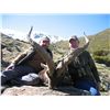 Image 3 : 4 DAYS FOR 1 HUNTER IN SPAIN INCLUDES RONDA IBEX TROPHY FEE AND TAXIDERMY CREDIT