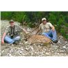 Image 2 : 4 DAY FREE RANGING AXIS OR AOUDAD HUNT IN THE HILL COUNTRY OF CENTRAL TEXAS