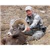 Image 1 : 12 DAY ALBERTA ROCKY MOUNTAIN BIGHORN SHEEP HUNT FOR 1 HUNTER
