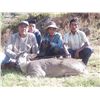 Image 2 : 6 DAY PERUVIAN MOUNTAIN WHITETAIL HUNT FOR 1 HUNTER - INCLUDES GLOBAL RESCUE AND TAXIDERMY