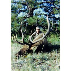 NM TROPHY ELK HUNT FOR 1 HUNTER IN THE GILA NATIONAL FOREST UNIT 15 PRIMITIVE WEAPON ONLY AREA